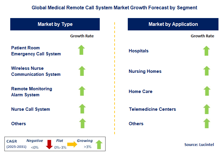 Medical Remote Call System Market by Segment