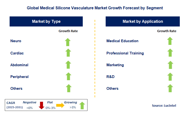 Medical Silicone Vasculature Market by Segment