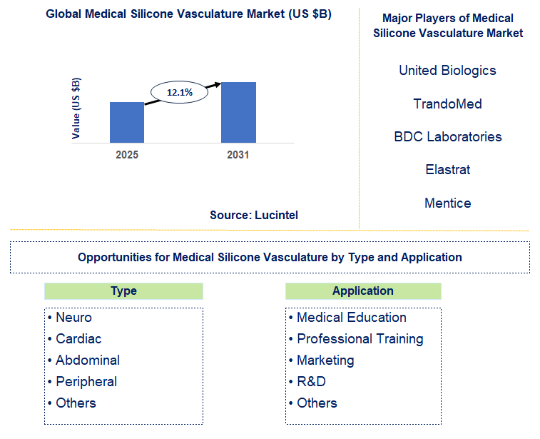 Medical Silicone Vasculature Market Trends and Forecast