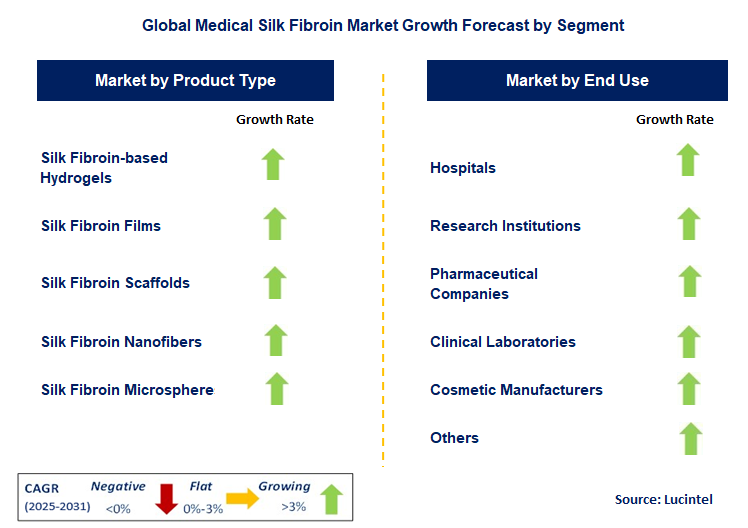Medical Silk Fibroin Market by Segment