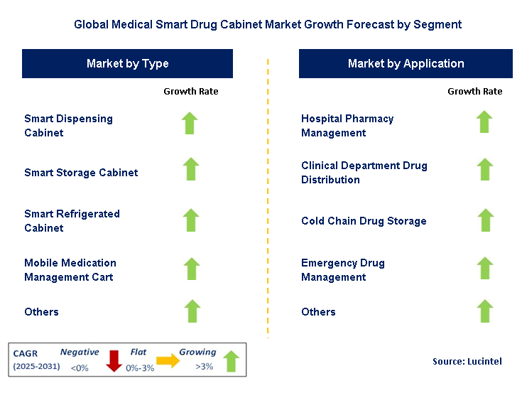 Medical Smart Drug Cabinet Market by Segment