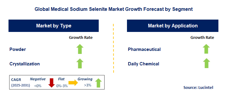 Medical Sodium Selenite Market by Segment