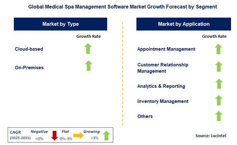 Medical Spa Management Software Market by Segment