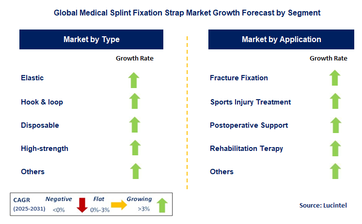 Medical Splint Fixation Strap Market by Segment