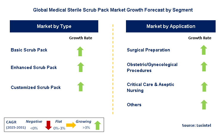 Medical Sterile Scrub Pack Market by Segment