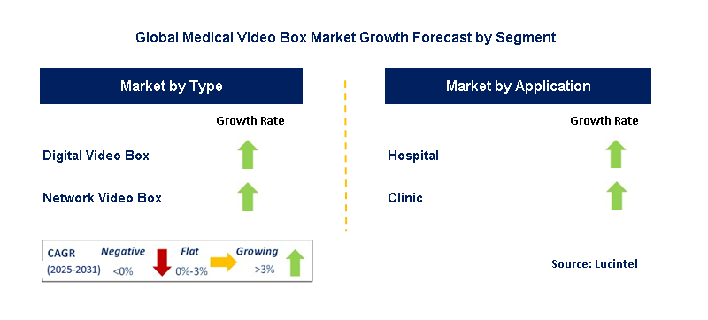 Medical Video Box Market by Segment