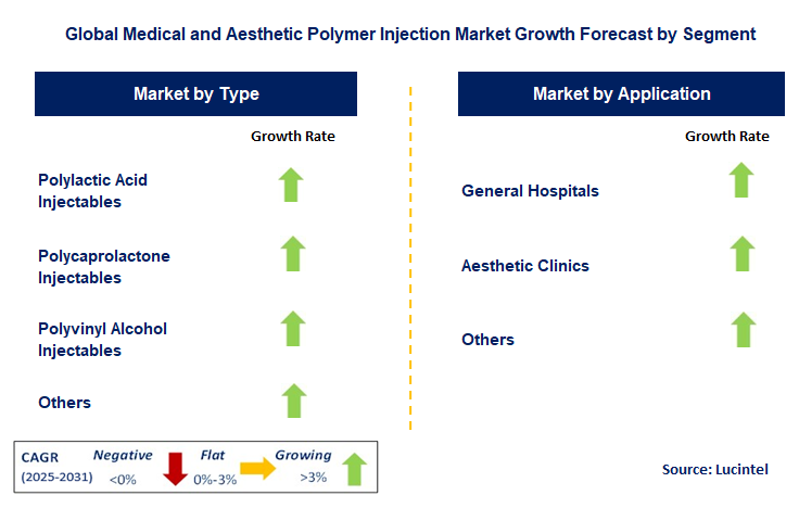 Medical and Aesthetic Polymer Injection Market by Segment