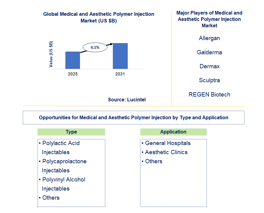 Medical and Aesthetic Polymer Injection Market Trends and Forecast