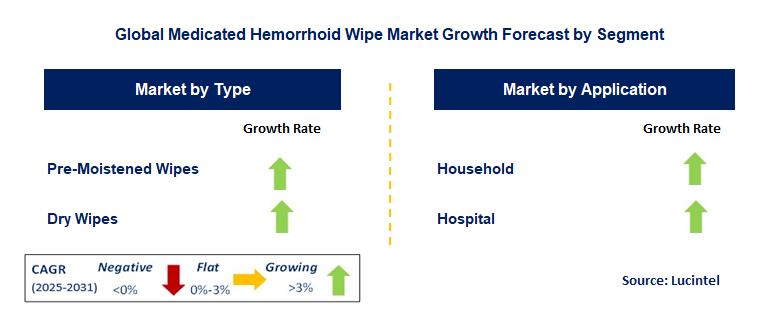 Medicated Hemorrhoid Wipe Market by Segment