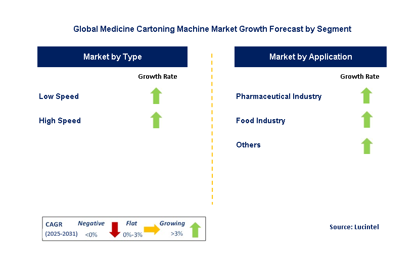 Medicine Cartoning Machine Market by Segment