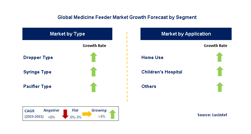 Medicine Feeder Market by Segment