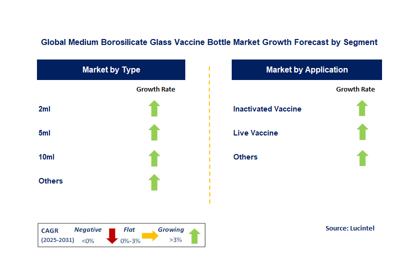 Medium Borosilicate Glass Vaccine Bottle Market by Segment