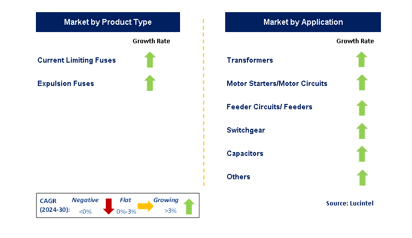 Medium Voltage Fuse by Segment