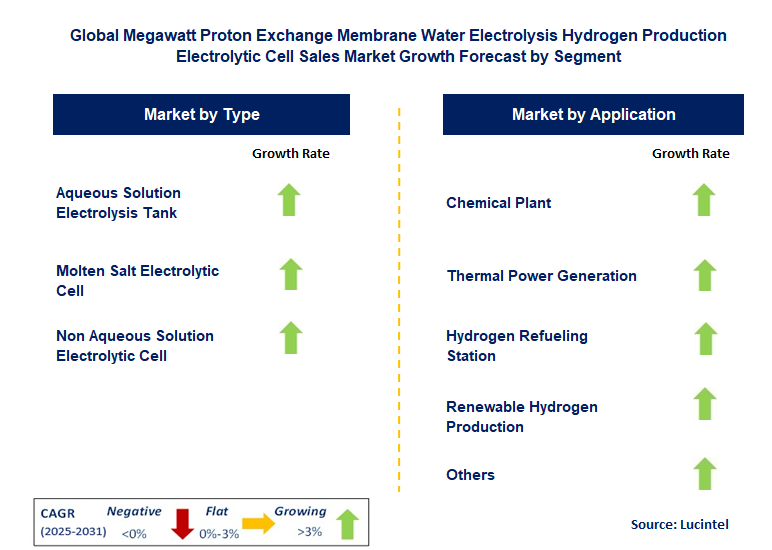 Megawatt Proton Exchange Membrane Water Electrolysis Hydrogen Production Electrolytic Cell Sales Market by Segment