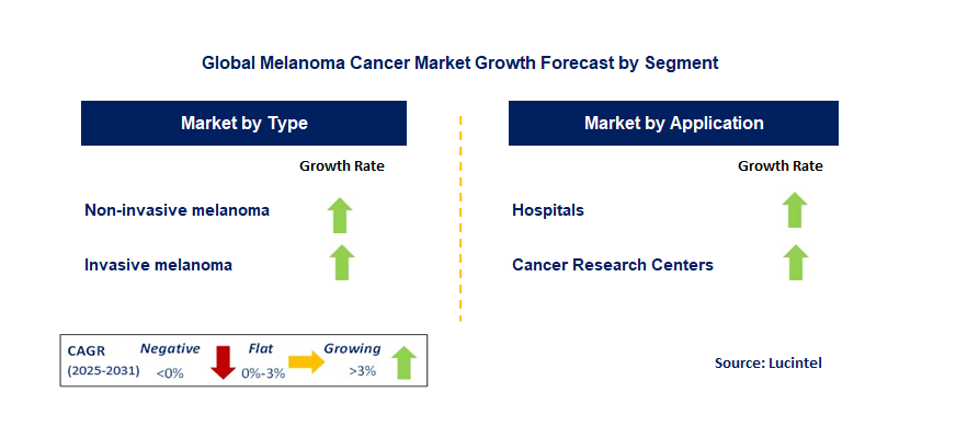 Melanoma Cancer Market by Segment