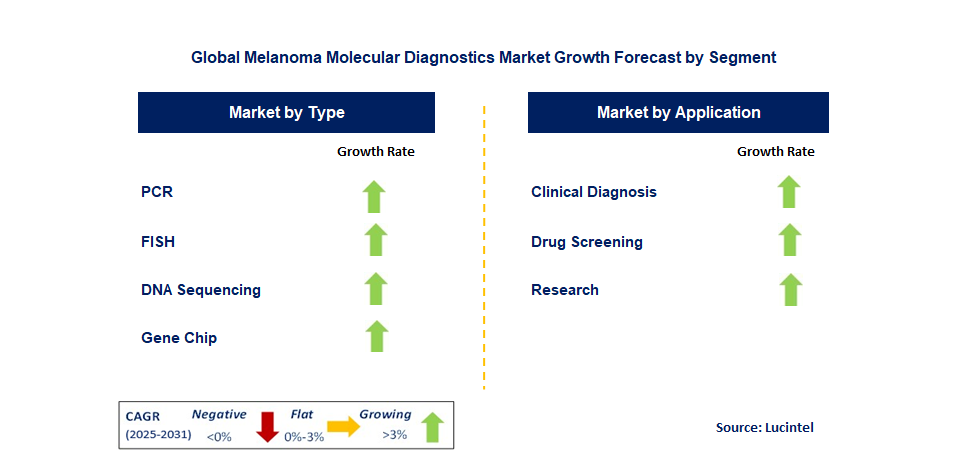 Melanoma Molecular Diagnostics Market by Segment