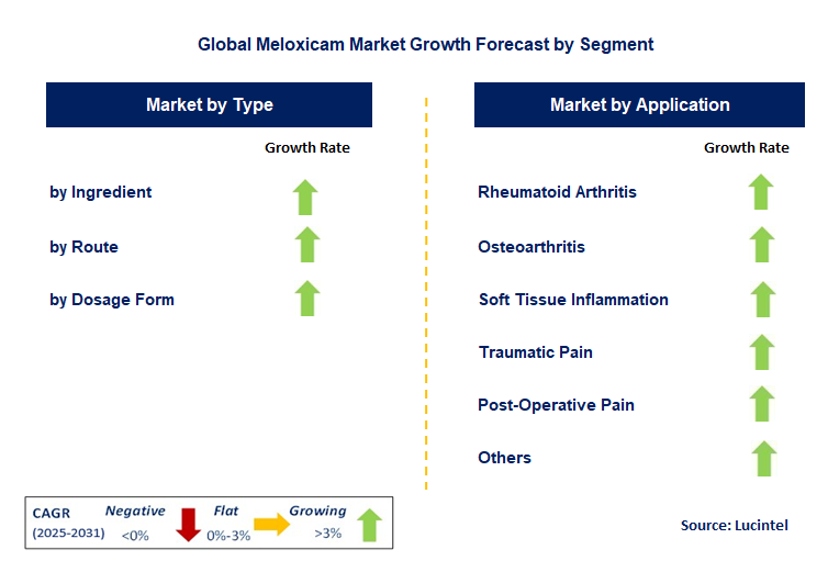 Meloxicam Market by Segment