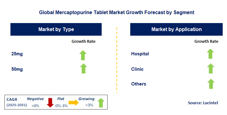 Mercaptopurine Tablet Market by Segment