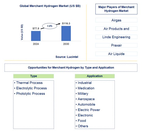 Merchant Hydrogen Trends and Forecast