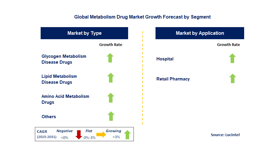 Metabolism Assay Market by Segment