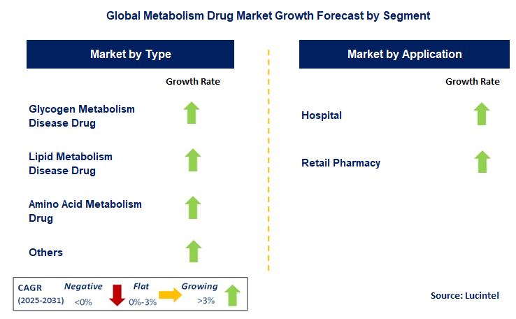 Metabolism Drug Market by Segment
