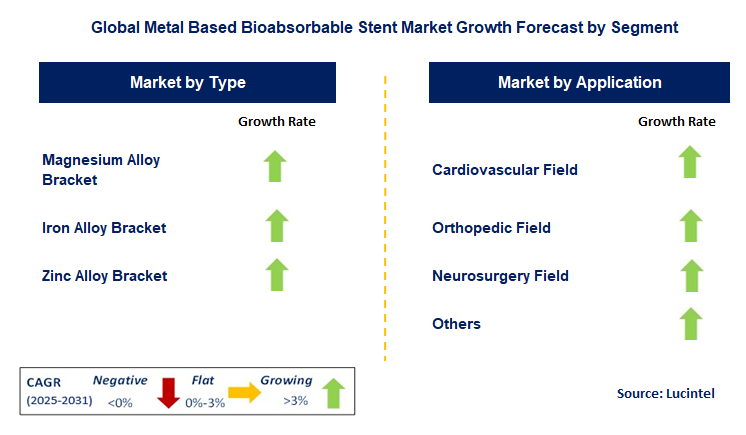 Metal Based Bioabsorbable Stent Market by Segment