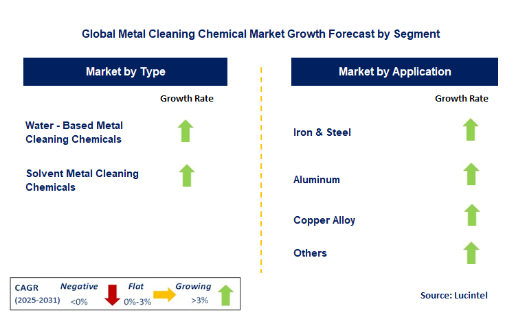Metal Cleaning Chemical Market by Segment