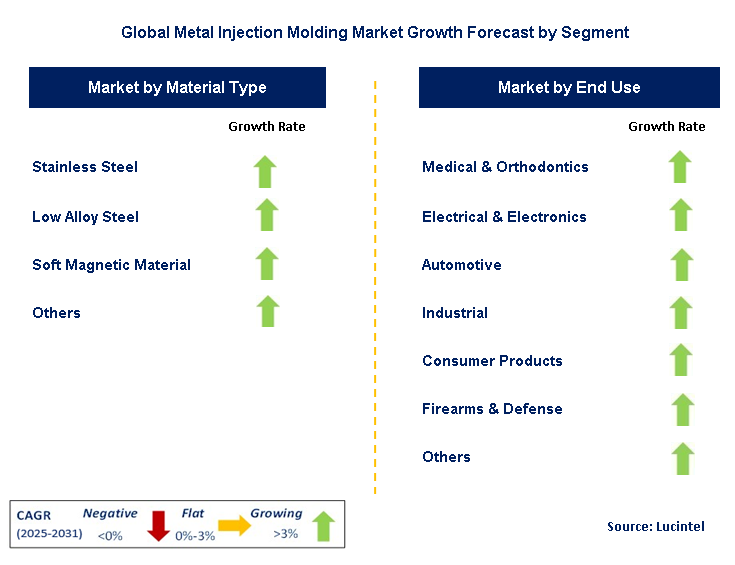 Metal Injection Molding Market by Segment
