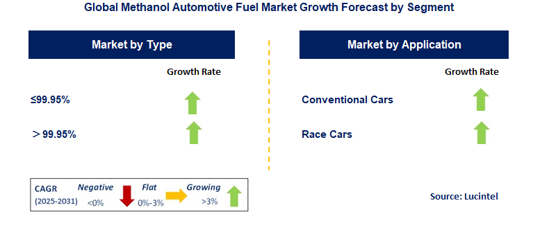 Methanol Automotive Fuel Market by Segment
