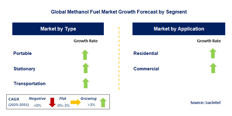 Methanol Fuel Market by Segment