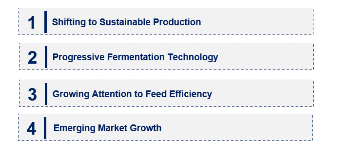 Emerging Trends in the Methionine Market