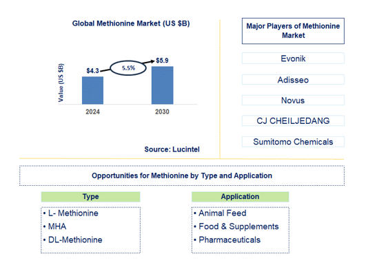 Methionine Trends and Forecast