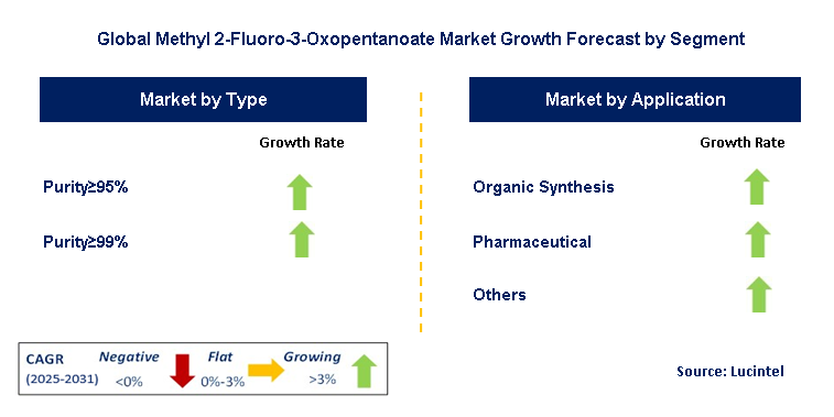 Methyl 2-Fluoro-3-Oxopentanoate Market by Segment