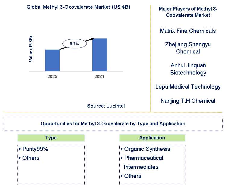 Methyl 3-Oxovalerate Market Trends and Forecast