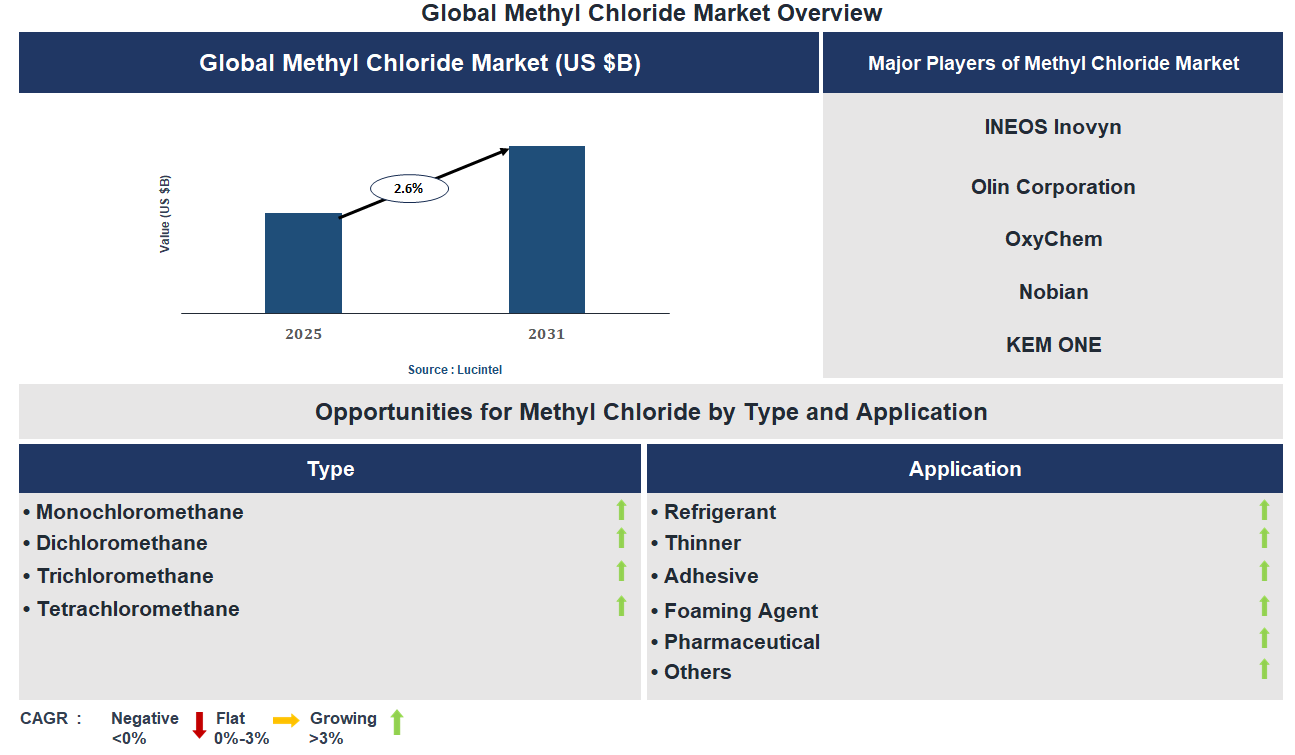 Methyl Chloride Market Trends and Forecast