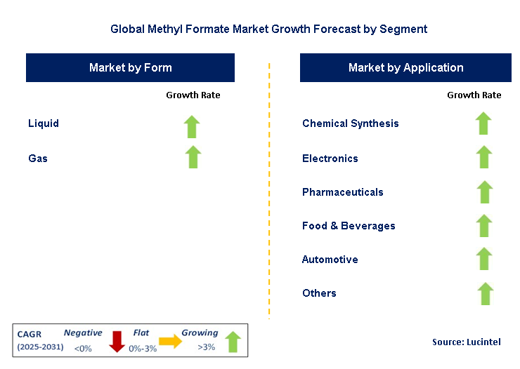 Methyl Formate Market by Segment