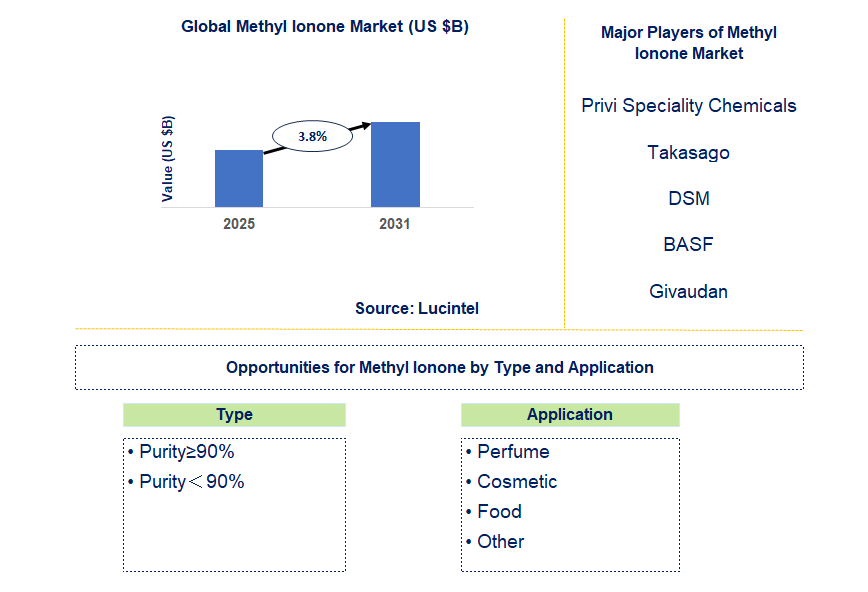 Methyl Ionone Market Trends and Forecast