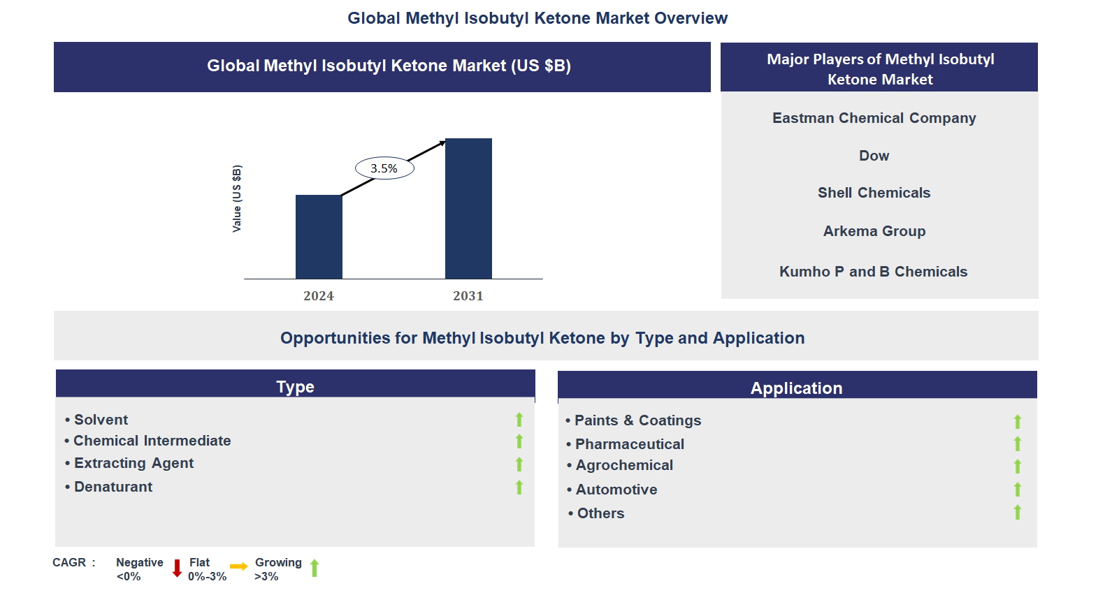 Methyl Isobutyl Ketone Market Trends and Forecast