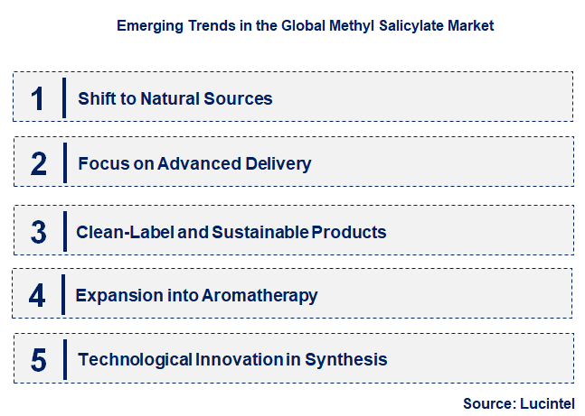 Emerging Trends in the Methyl Salicylate Market