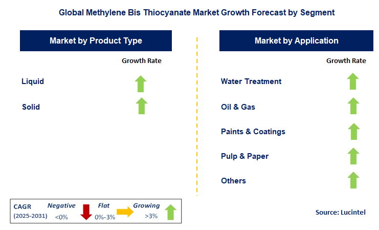 Methylene Bis Thiocyanate Market by Segment
