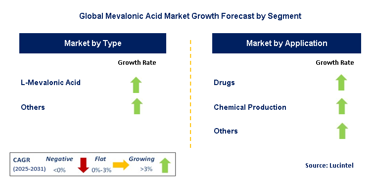 Mevalonic Acid Market by Segment