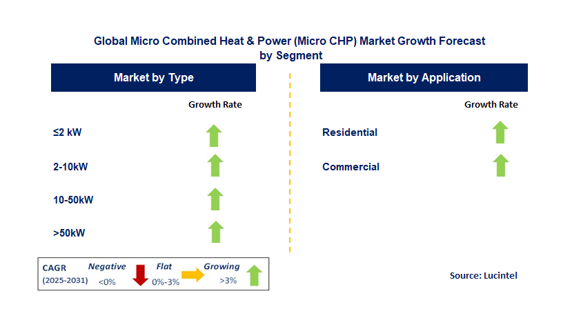 Micro Combined Heat & Power (Micro CHP) Market by Segment