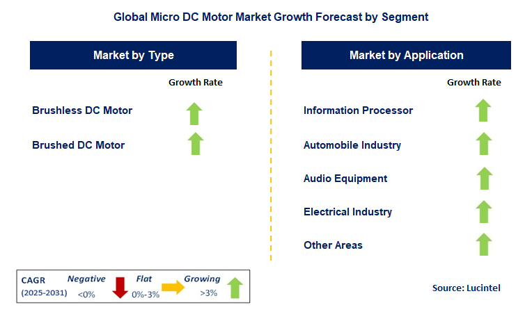Micro DC Motor Market by Segment