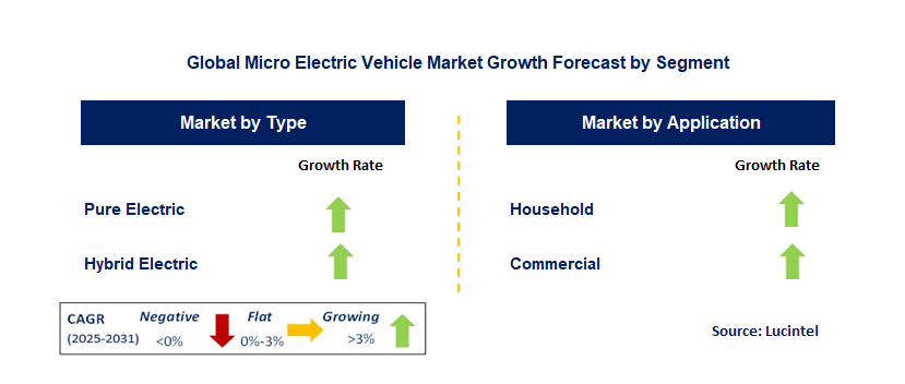 Micro Electric Vehicle Market by Segment