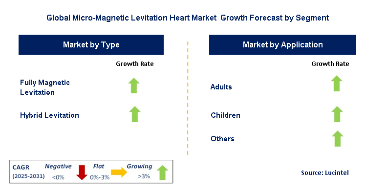 Micro-Magnetic Levitation Heart Market by Segment