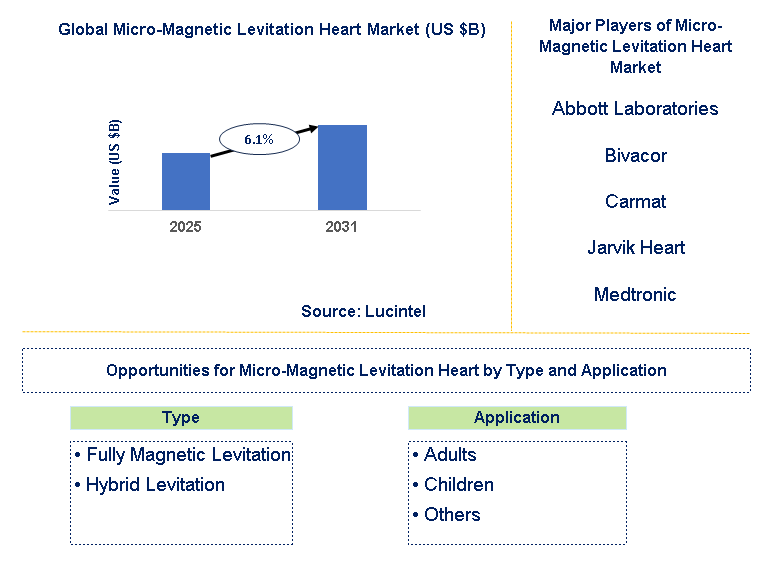 Micro-Magnetic Levitation Heart Market Trends and Forecast
