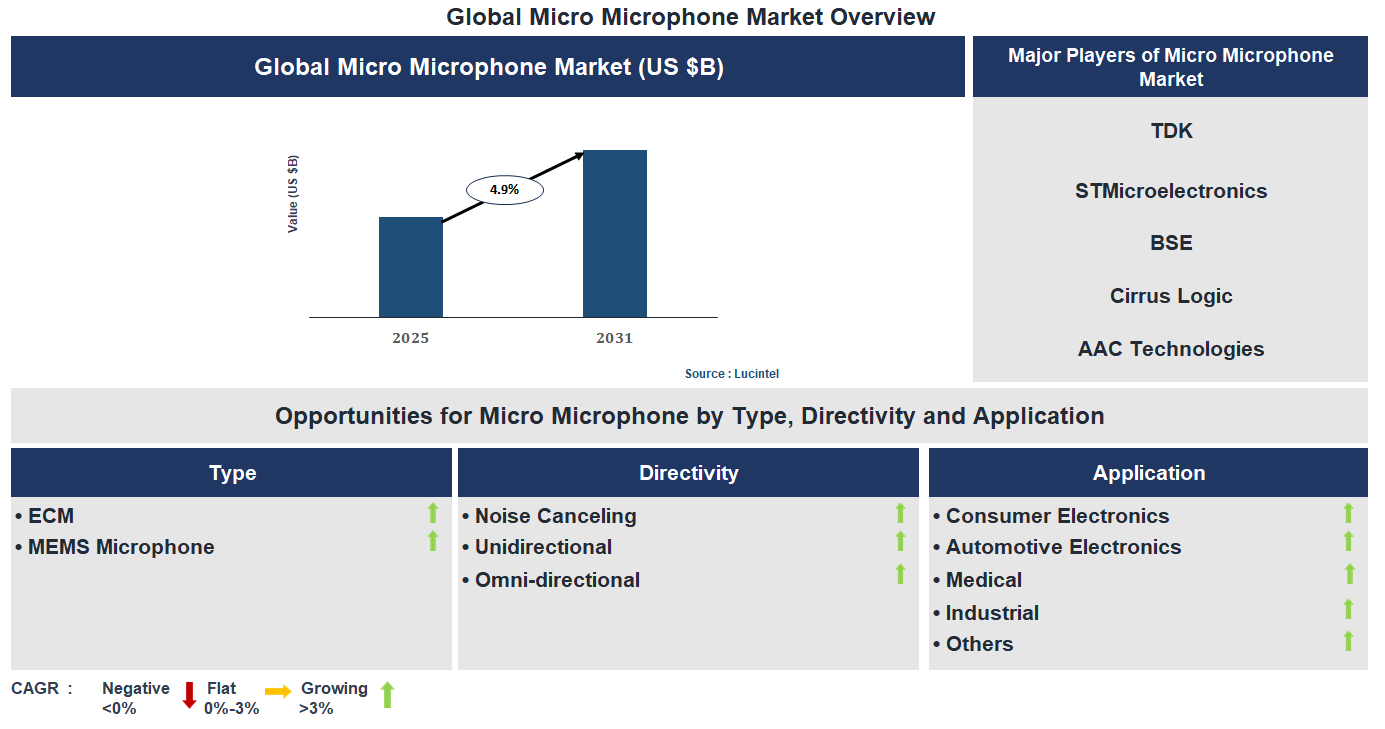 Micro Microphone Market Trends and Forecast