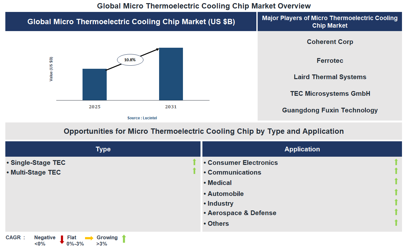 Micro Thermoelectric Cooling Chip Market Trends and Forecast