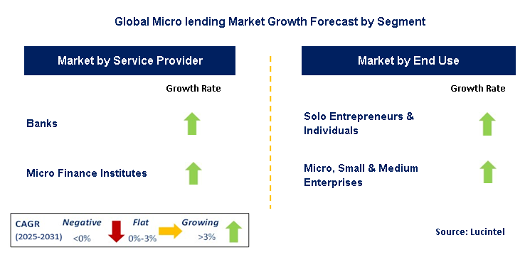 Micro lending Market by Segment