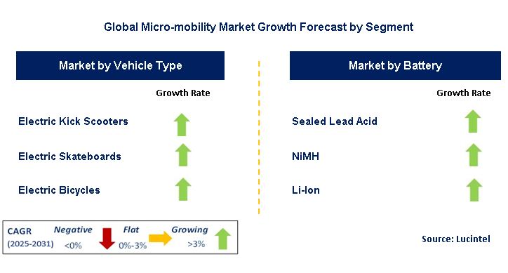 Micro-mobility Market by Segment